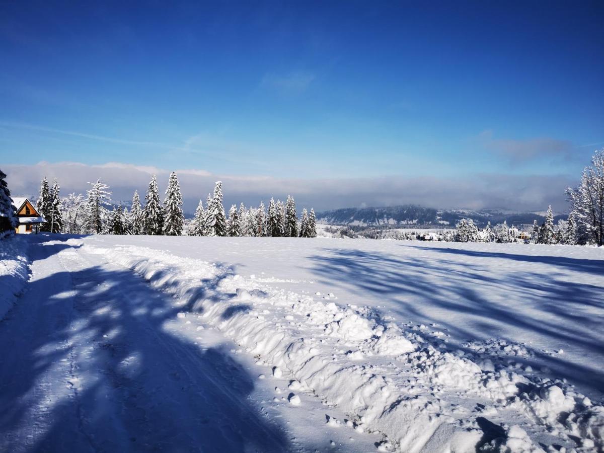 Heidi Villa Zakopane Buitenkant foto